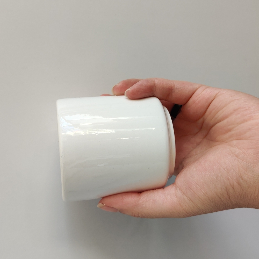 10 small white ceramic plant succulent pots